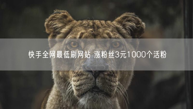 快手全网最低刷网站 涨粉丝3元1000个活粉
