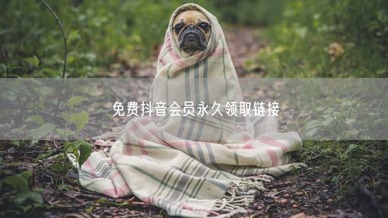 免费抖音会员永久领取链接