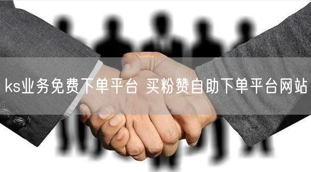 ks业务免费下单平台 买粉赞自助下单平台网站