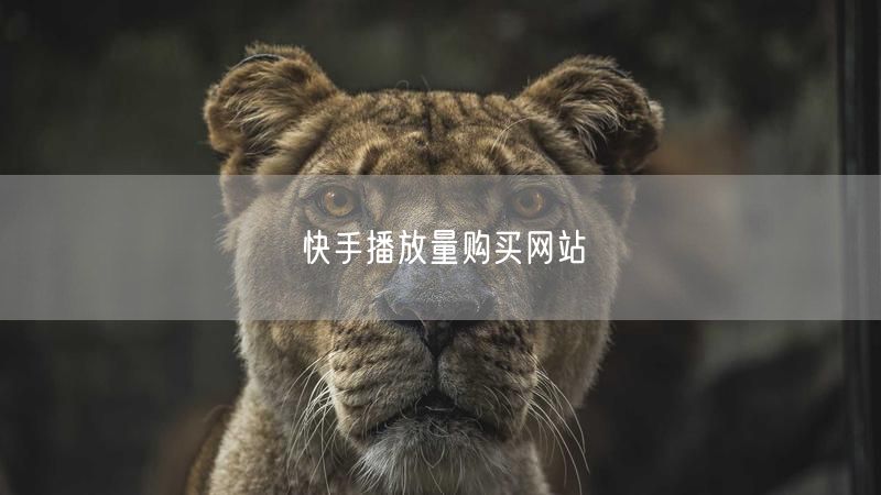快手播放量购买网站