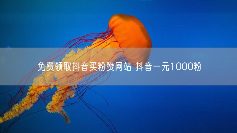 免费领取抖音买粉赞网站 抖音一元1000粉