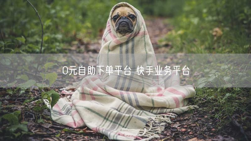 0元自助下单平台 快手业务平台