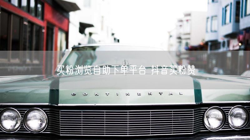 买粉浏览自助下单平台 抖音买粉赞