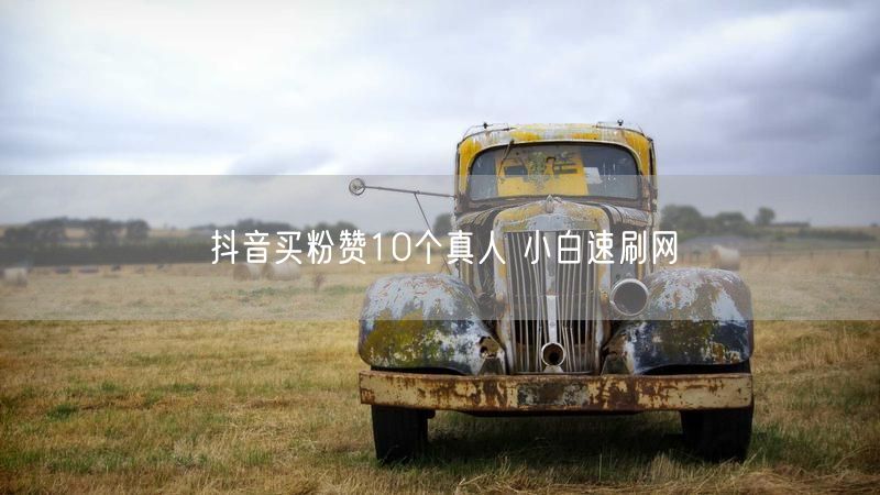 抖音买粉赞10个真人 小白速刷网