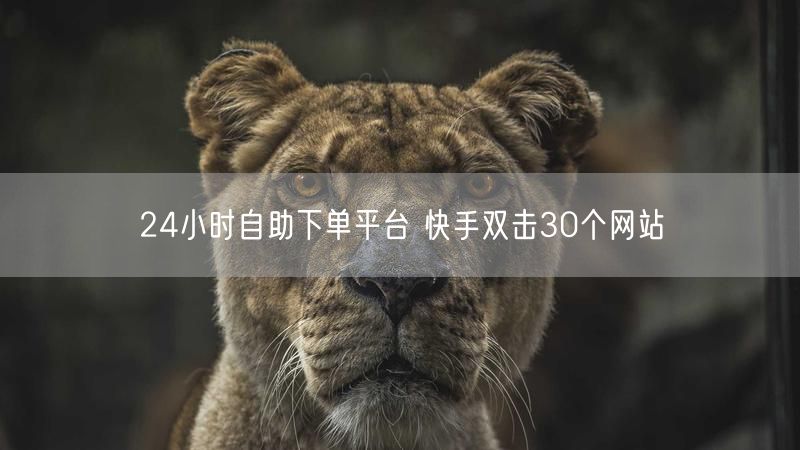 24小时自助下单平台 快手双击30个网站