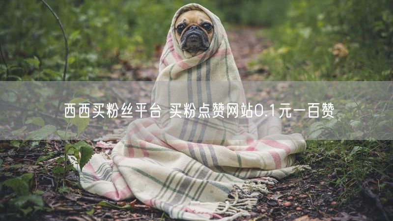 西西买粉丝平台 买粉点赞网站0.1元一百赞