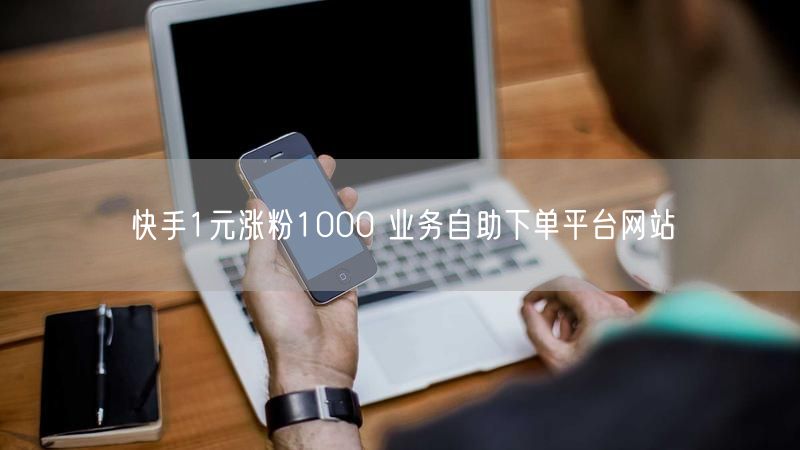 快手1元涨粉1000 业务自助下单平台网站