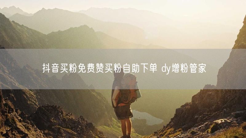 抖音买粉免费赞买粉自助下单 dy增粉管家