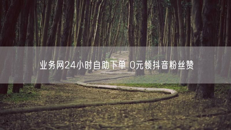 业务网24小时自助下单 0元领抖音粉丝赞