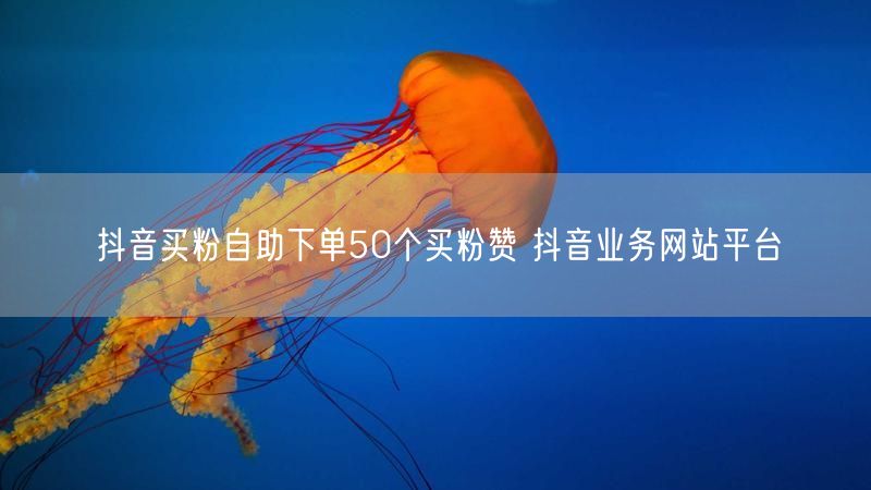 抖音买粉自助下单50个买粉赞 抖音业务网站平台