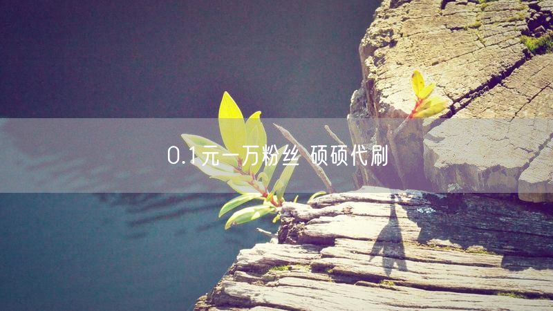 0.1元一万粉丝 硕硕代刷