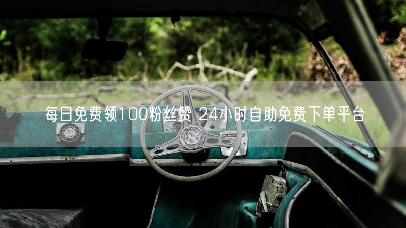 每日免费领100粉丝赞 24小时自助免费下单平台
