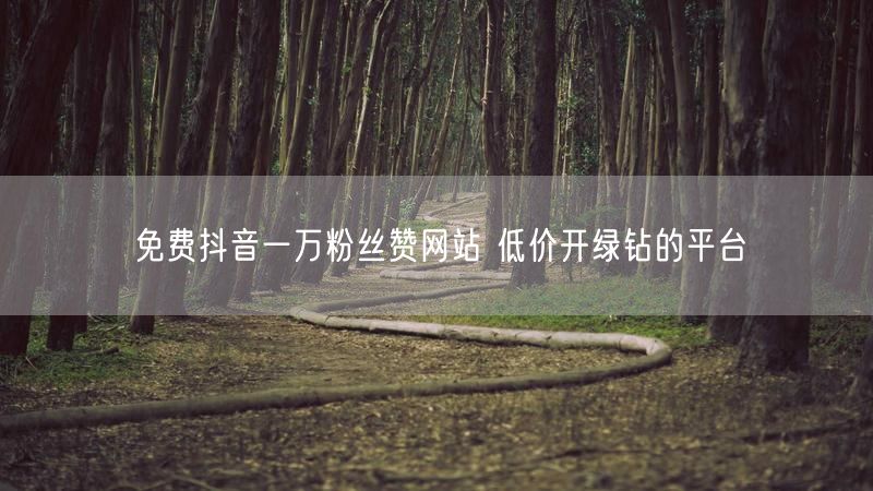 免费抖音一万粉丝赞网站 低价开绿钻的平台