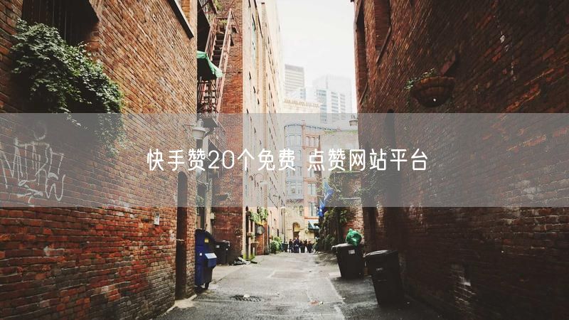 快手赞20个免费 点赞网站平台