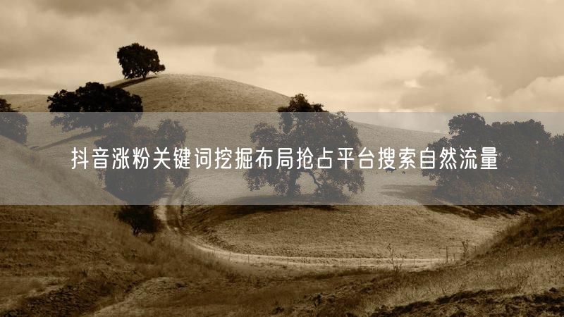 抖音涨粉关键词挖掘布局抢占平台搜索自然流量