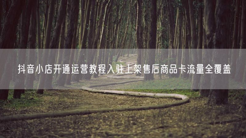 抖音小店开通运营教程入驻上架售后商品卡流量全覆盖