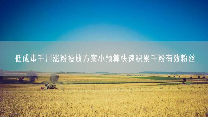 低成本千川涨粉投放方案小预算快速积累千粉有效粉丝