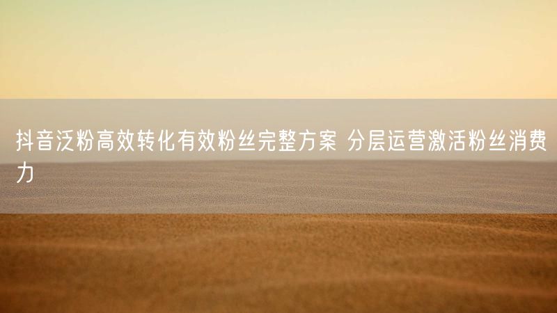 抖音泛粉高效转化有效粉丝完整方案 分层运营激活粉丝消费力