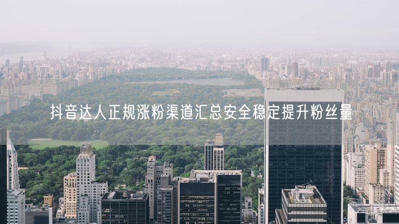 抖音达人正规涨粉渠道汇总安全稳定提升粉丝量
