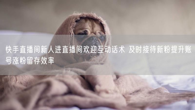 快手直播间新人进直播间欢迎互动话术 及时接待新粉提升账号涨粉留存效率