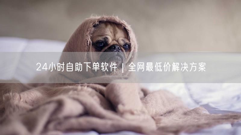 24小时自助下单软件|全网最低价解决方案