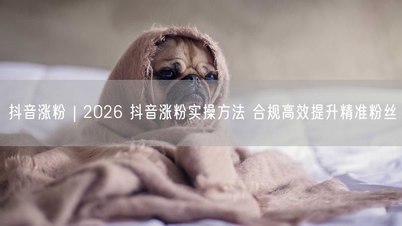 抖音涨粉|2026 抖音涨粉实操方法 合规高效提升精准粉丝