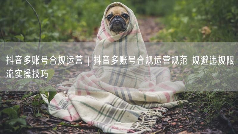 抖音多账号运营：合规技巧与违规限流规避指南