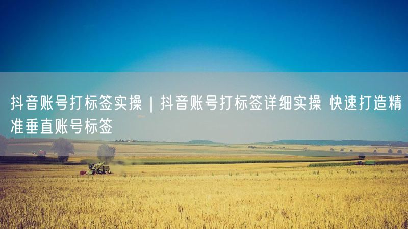 抖音账号打标签实操｜抖音账号打标签详细实操 快速打造精准垂直账号标签