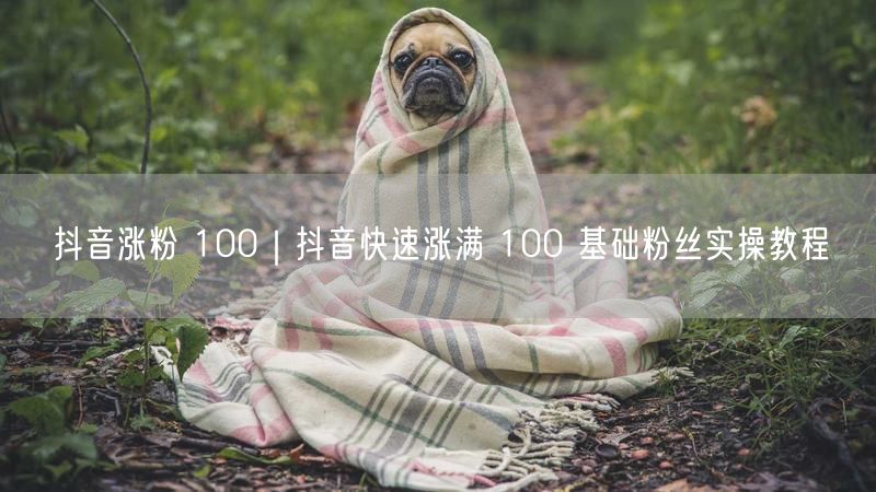 抖音涨粉 100|抖音快速涨满 100 基础粉丝实操教程