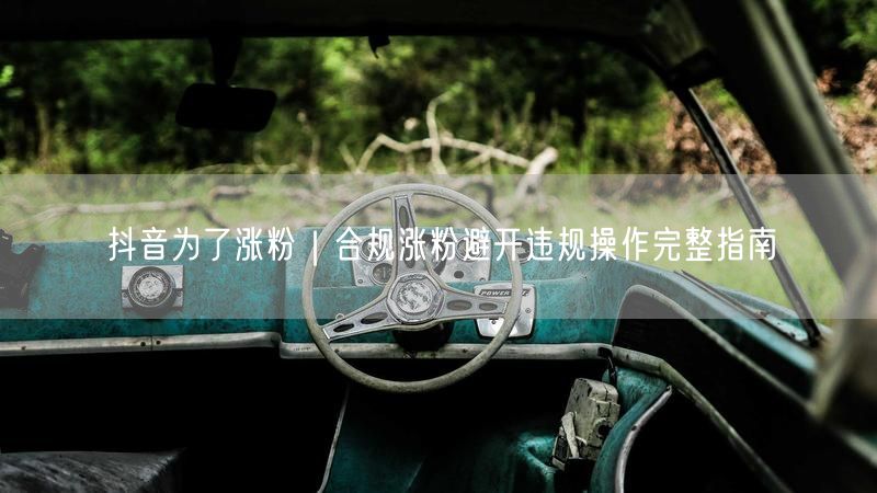 抖音涨粉必看：合规实操指南，轻松规避违规操作