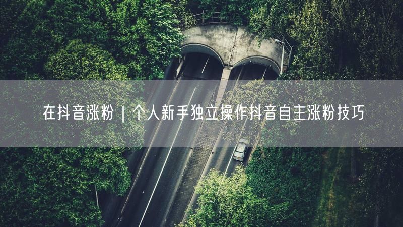新手必看！抖音自主涨粉技巧+实操避坑指南