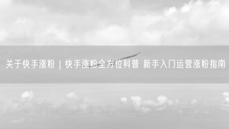 关于快手涨粉｜快手涨粉全方位科普 新手入门运营涨粉指南