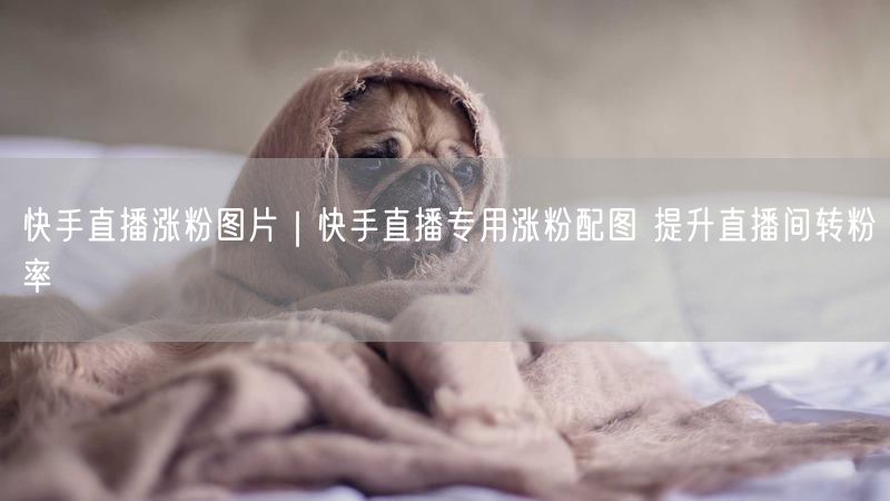 快手直播涨粉图片｜快手直播专用涨粉配图 提升直播间转粉率