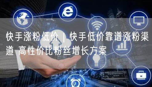 快手涨粉低价｜快手低价靠谱涨粉渠道 高性价比粉丝增长方案
