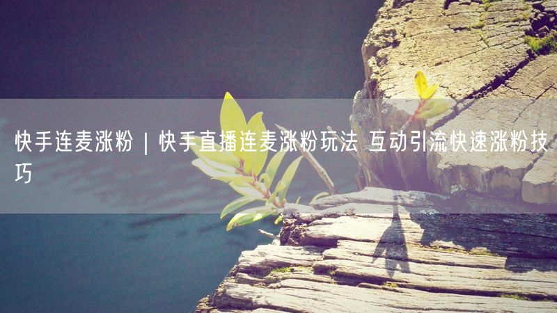 快手连麦涨粉｜快手直播连麦涨粉玩法 互动引流快速涨粉技巧
