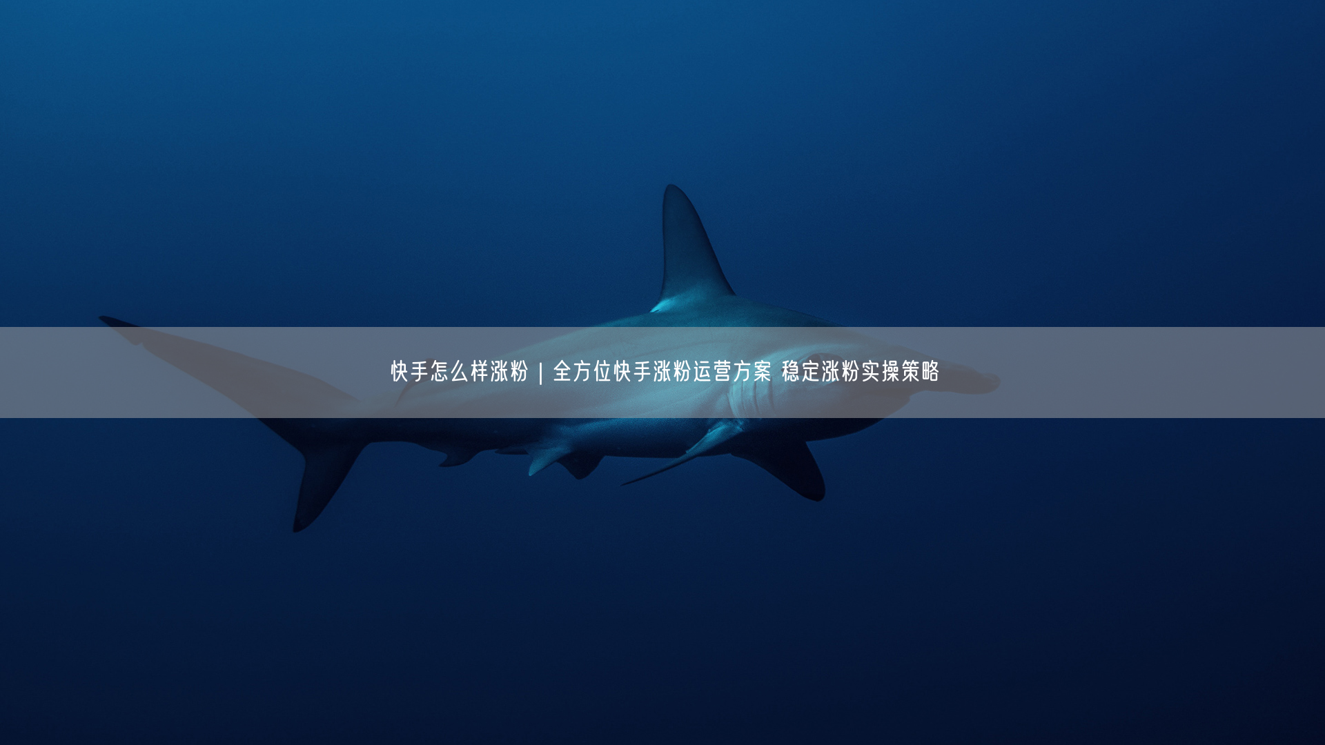 快手怎么样涨粉｜全方位快手涨粉运营方案 稳定涨粉实操策略