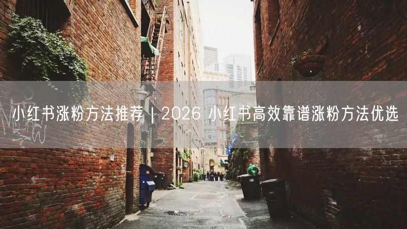 2026小红书高效涨粉实操法，附真实避坑案例