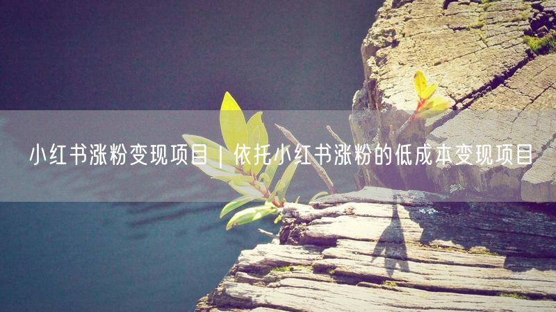 小红书涨粉变现项目|依托小红书涨粉的低成本变现项目