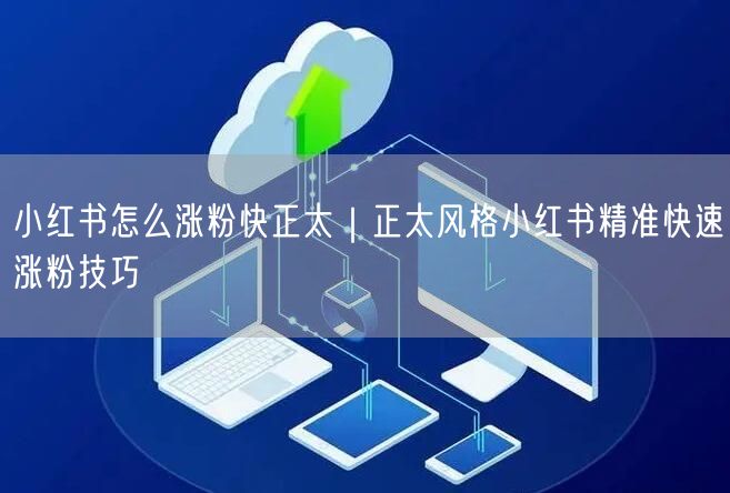 正太风格小红书运营：精准涨粉技巧大揭秘