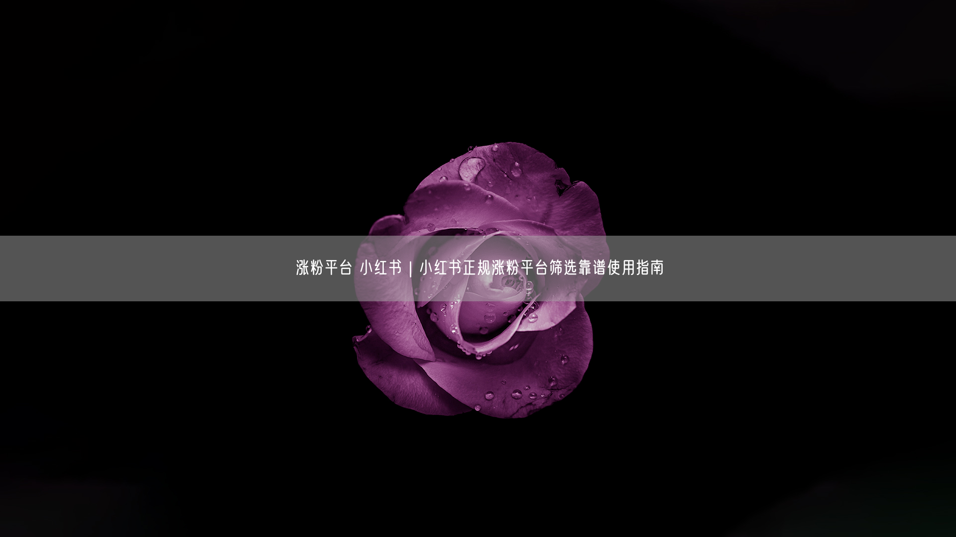 涨粉平台 小红书|小红书正规涨粉平台筛选靠谱使用指南