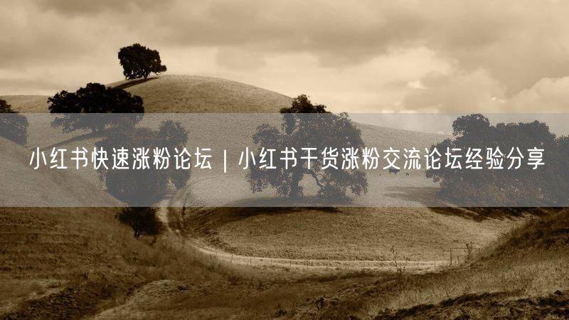 小红书涨粉论坛：干货技巧+实操经验，运营避坑必看
