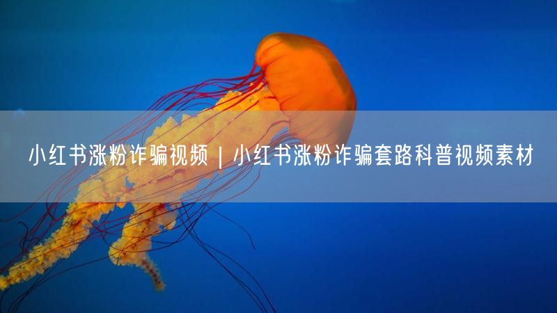 小红书涨粉诈骗大揭秘：套路解析与防骗指南