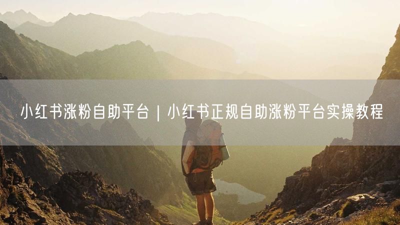 小红书涨粉自助平台|小红书正规自助涨粉平台实操教程