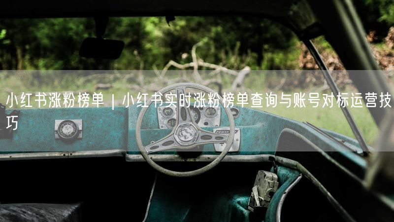 小红书涨粉榜单|小红书实时涨粉榜单查询与账号对标运营技巧