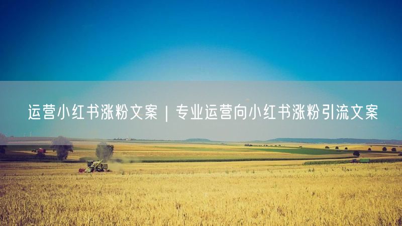 运营小红书涨粉文案｜专业运营向小红书涨粉引流文案