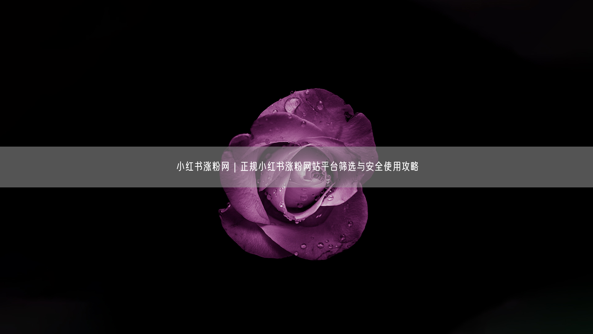 小红书涨粉网｜正规小红书涨粉网站平台筛选与安全使用攻略