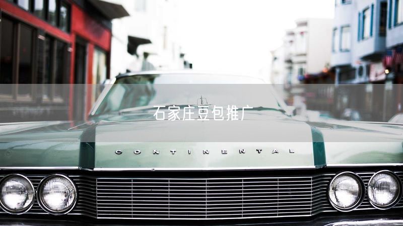 石家庄豆包推广
