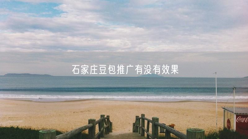 石家庄豆包推广有没有效果