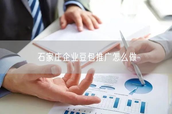 石家庄企业豆包推广怎么做
