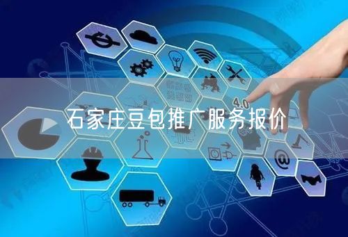 石家庄豆包推广服务报价